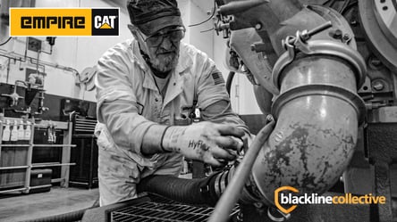 Empire Cat-Blackline Kollektivbild