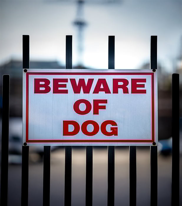 Sasha brauchte Hilfe, als sie alleine arbeitete und von einem Kunden und seinem großen Hund bedroht wurde. Lesen Sie ihre Geschichte.