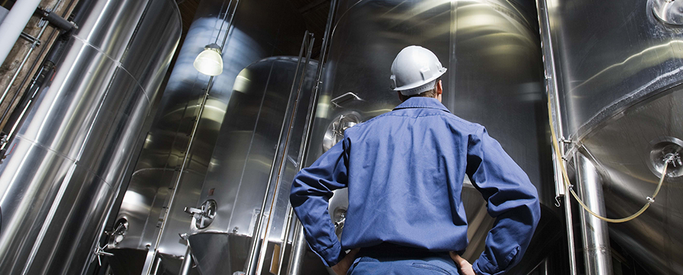 Blog-Bilder – Lebensmittel und Getränke