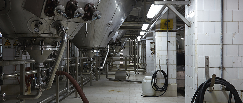 Blog-Bilder – Lebensmittel und Getränke2