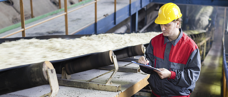 Blog-Bilder – Lebensmittel und Getränke5