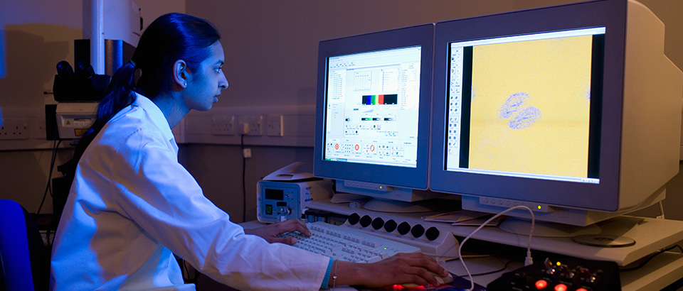 Blog-Bilder – labs3