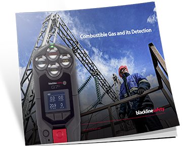 Weißbuch-Miniaturansicht