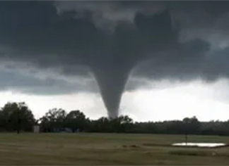 Weißbuch-Miniaturansicht